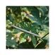 Комплект колышков Naturehike CNK2300ZP016 20 см сріблясті 8 шт (6976023925030) U0928808 фото 8