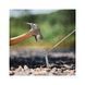 Комплект колышков Naturehike CNK2300ZP016 20 см сріблясті 8 шт (6976023925030) U0928808 фото 9